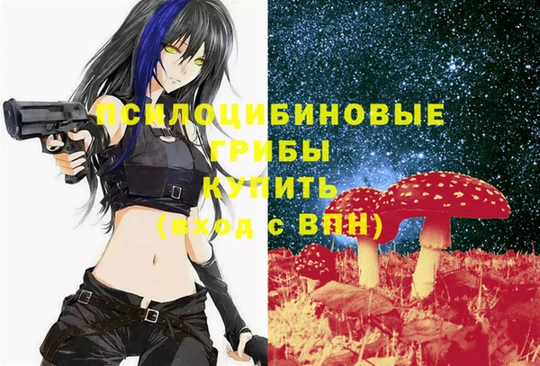 герыч Дмитриев