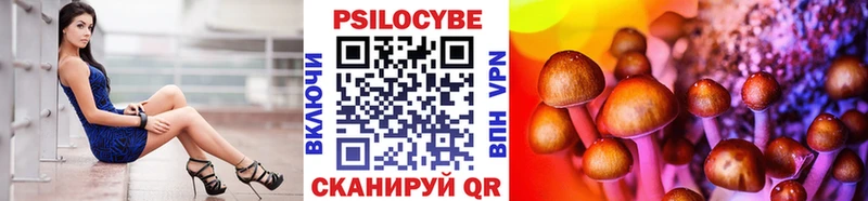Галлюциногенные грибы Psilocybine cubensis  Купить  Любань 